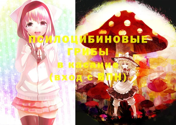 прущая мука Арсеньев